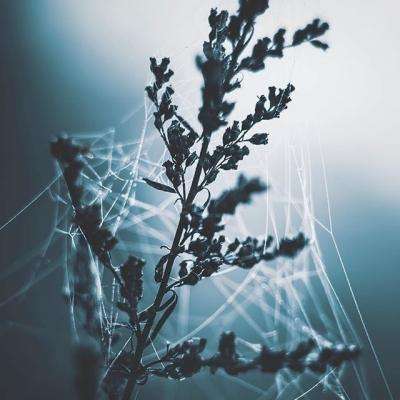 江南APP官方网站登录